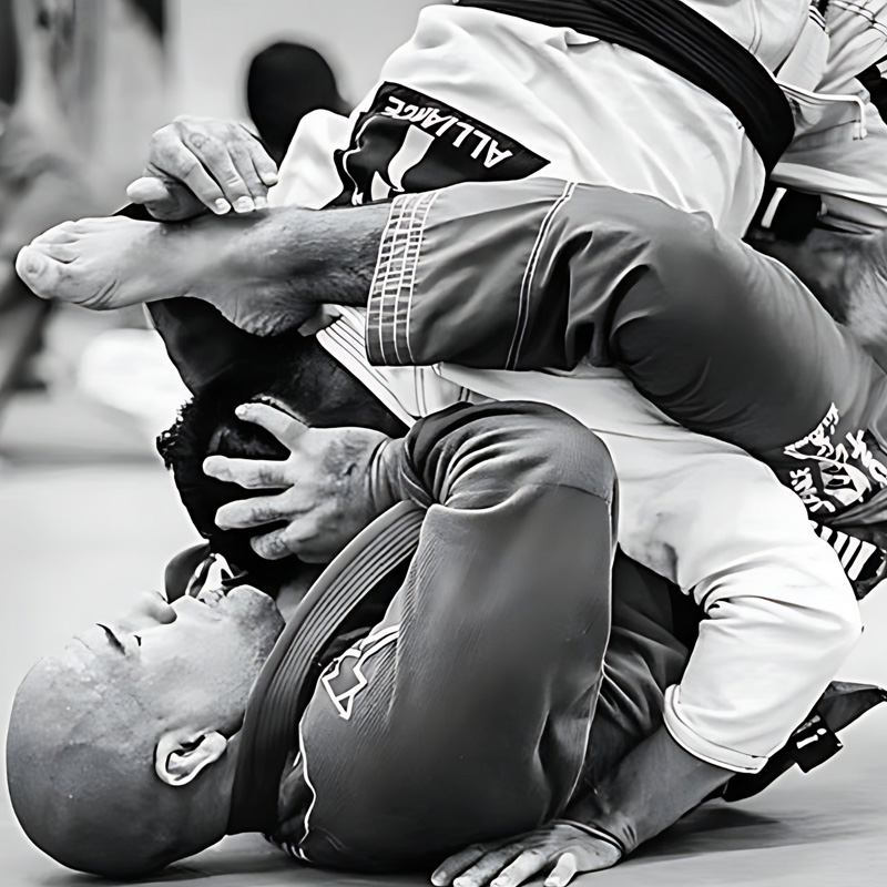 Alliance Jiu Jitsu - Programa Competição